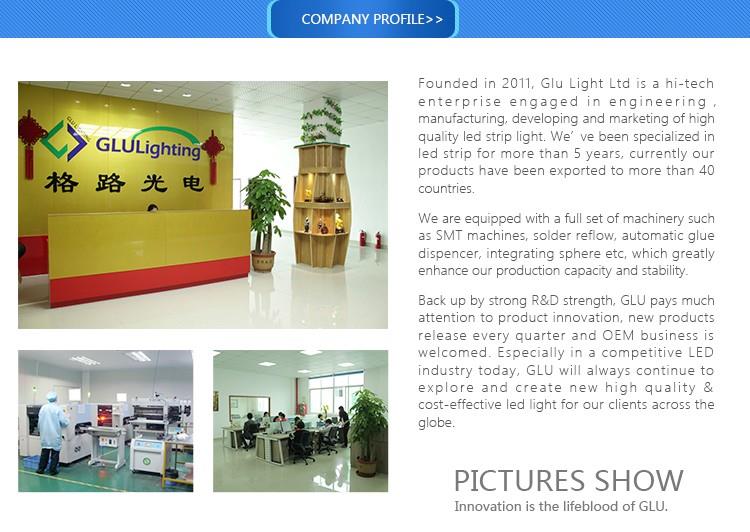 Customized outdoor underwater corrision-proof RGB led strip product-550-390