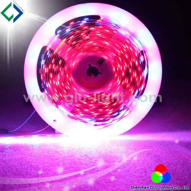 Alibaba best sellers best price digital ws2812b led strip RGB